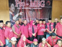 Kader Pro-MEG Lampung Dukung Megawati