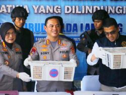 Ratusan Burung Ilegal Diamankan di Pelabuhan Bakauheni
