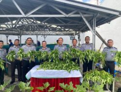 Lapas Narkotika Bandar Lampung Dukung Ketahanan Pangan Nasional