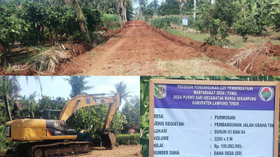 “Aneh” Kades Purwosari Bangun Jalan di Tanah Register Gunakan Dana Desa