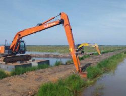 Genjot Rehabilitasi Irigasi, Kementan Wujudkan Merdeka Air  Untuk Petani