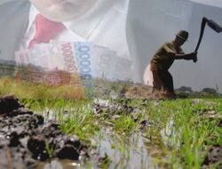 Anggaran Oplah Gapoktan di Marga Batin Diduga Jadi Bancakan Oknum APH