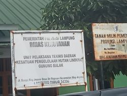 Polhut Sibuk, Penanganan Kayu Register 38 Gunung Balak Tunggu Petunjuk Pimpinan